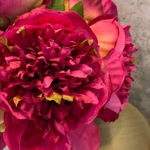 Meet your Posher, Karolina